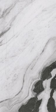 Panda Marble by RAK Ceramics