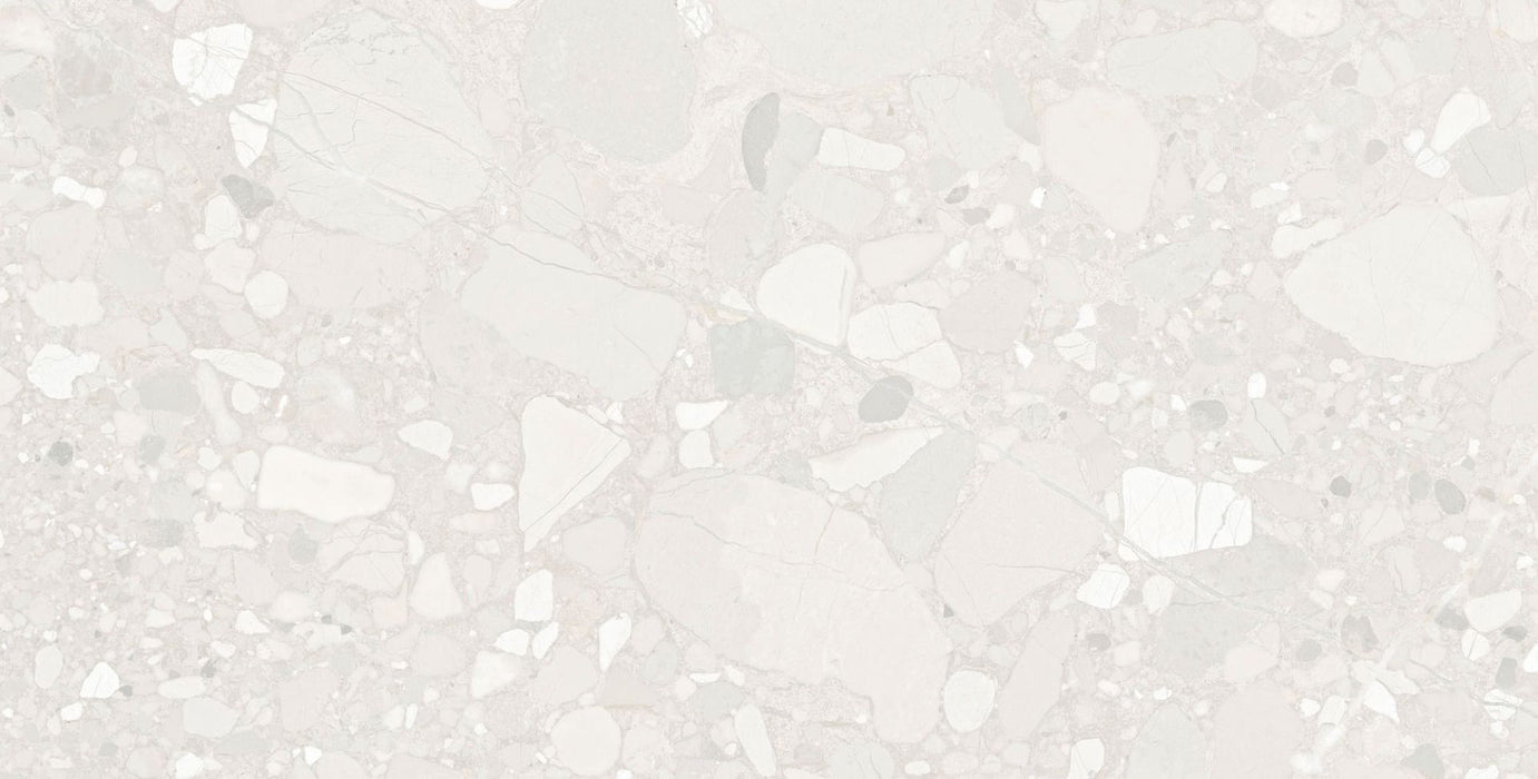 DEVON Terrazzo Style Wall and Floor Tiles - 60x120cm - Two Colour Options